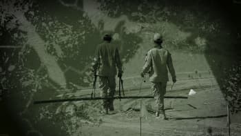 Le Royaume contre les mines terrestres